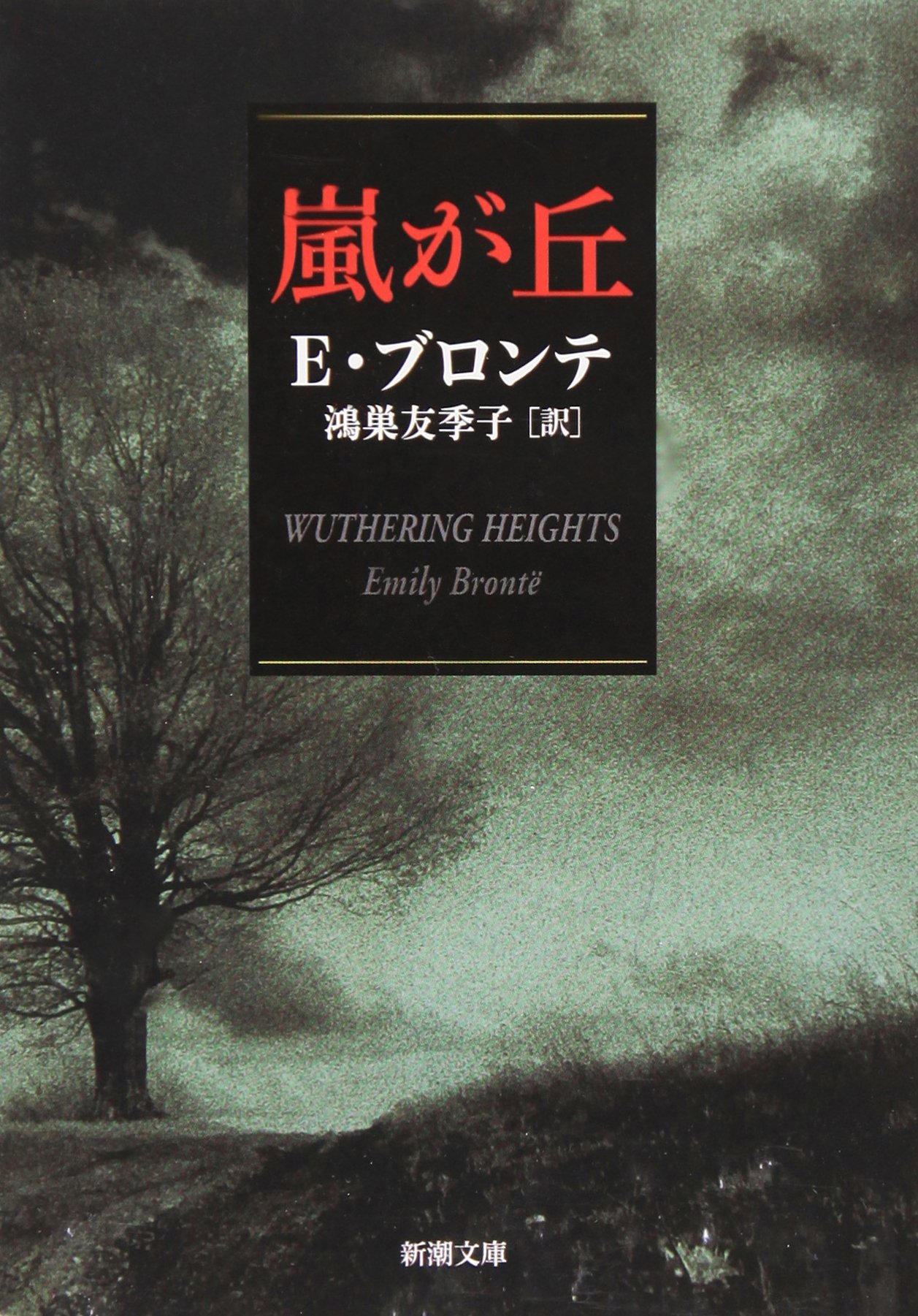嵐が丘 エミリーブロンテ 小説