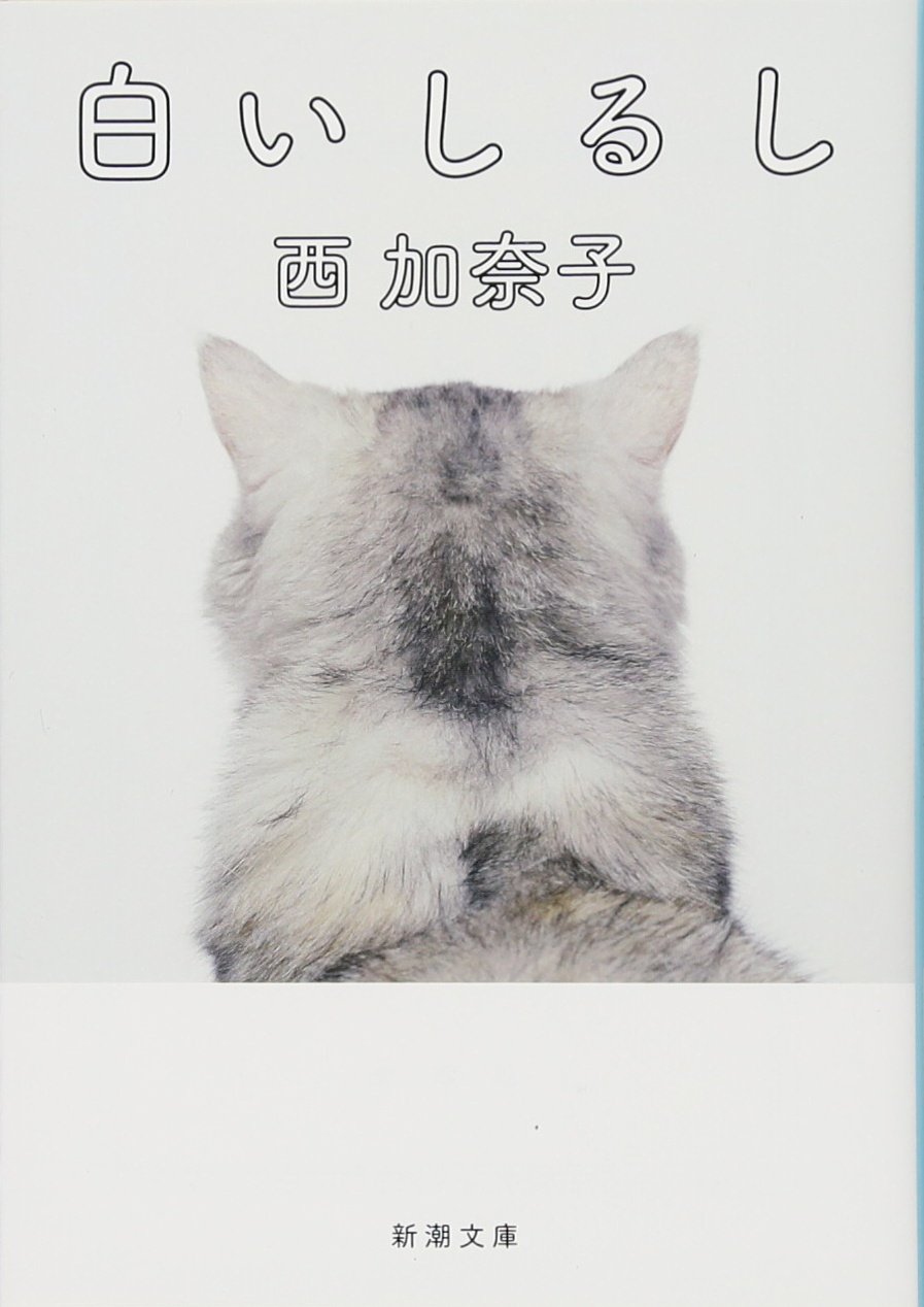 西加奈子 白いしるし 小説