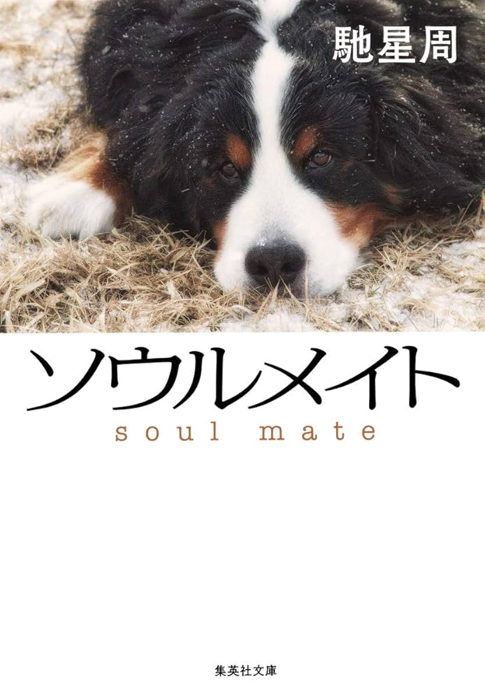 馳星周 ソウルメイト 小説