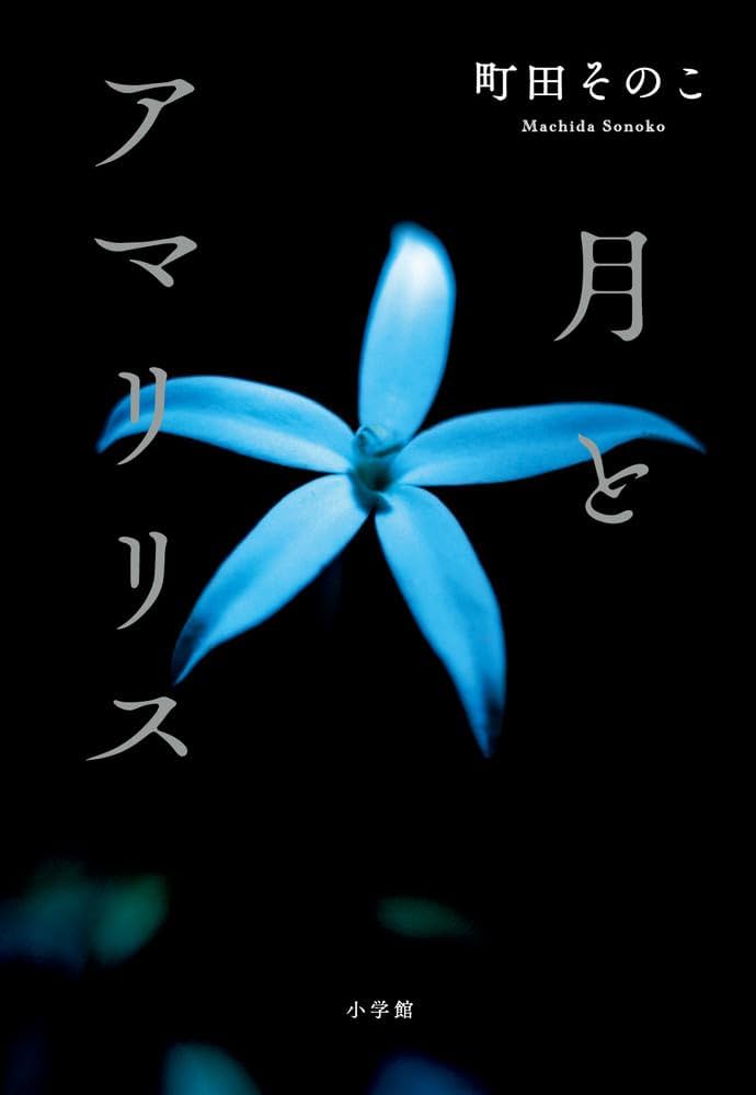 町田そのこ 月とアマリリス 小説