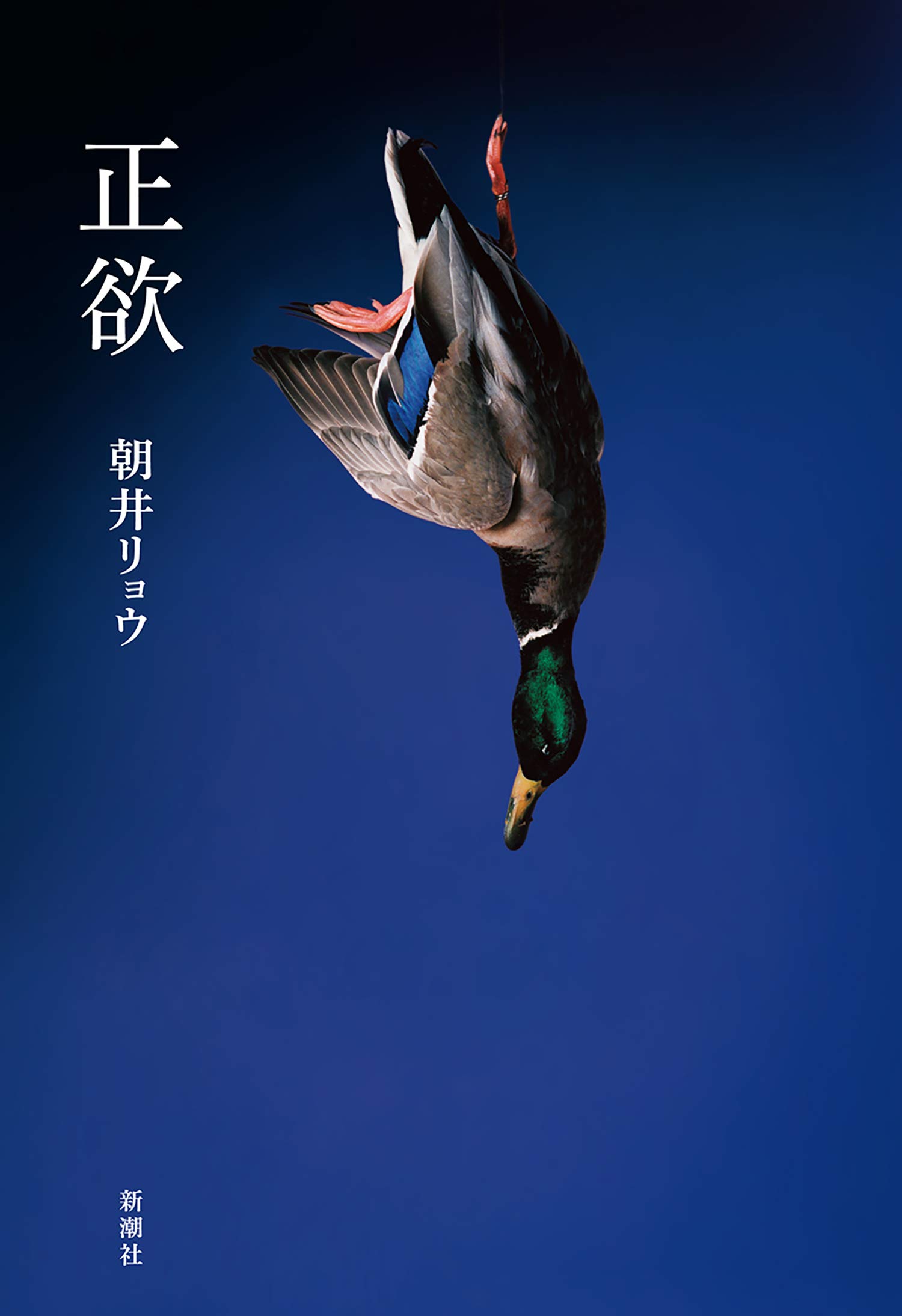 朝井リョウ 正欲 小説