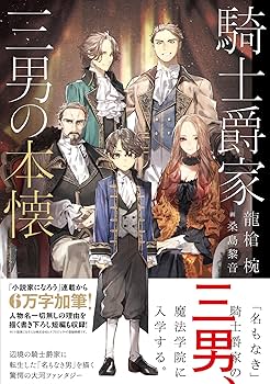 騎士爵家 三男の本懐 龍槍 椀 小説
