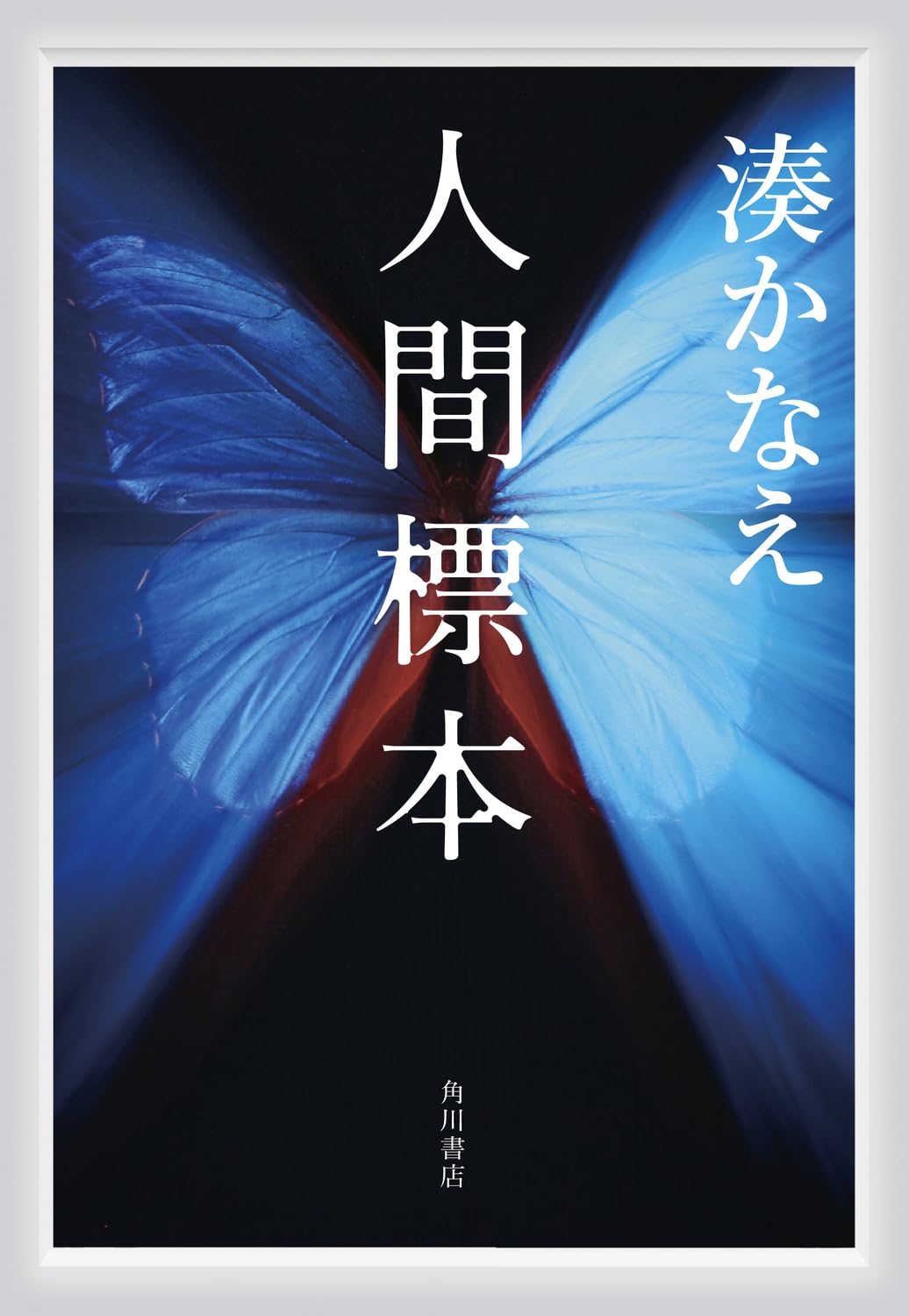 湊かなえ 人間標本 小説