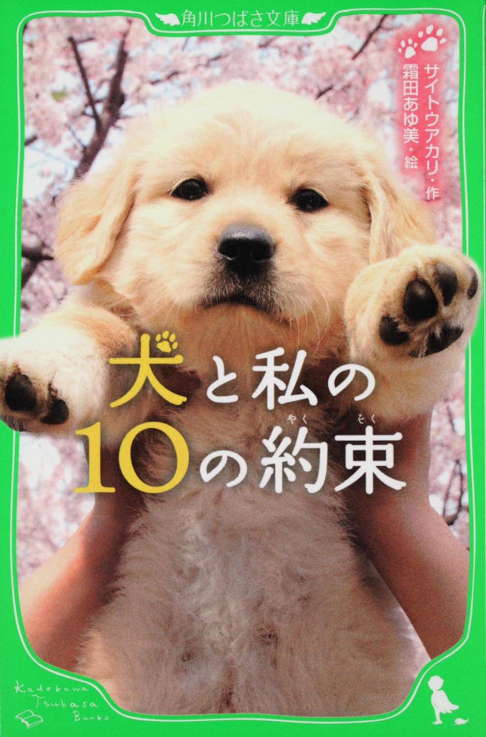 サイトウ・アカリ 犬と私の10の約束 小説