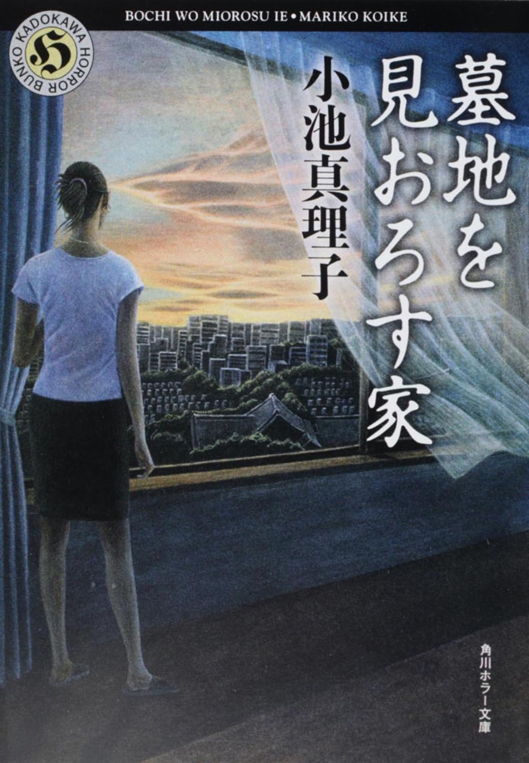 墓地を見おろす家 小池真理子 小説