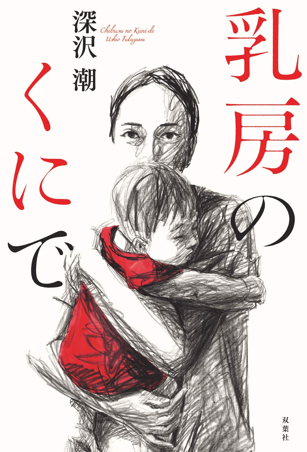 雲南の妻 深沢潮 小説