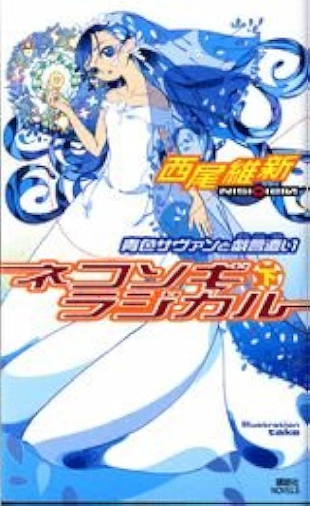 ネコソギラジカル 戯言シリーズ 小説
