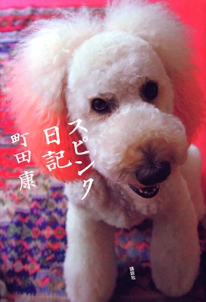 町田康 スピンク日記 小説