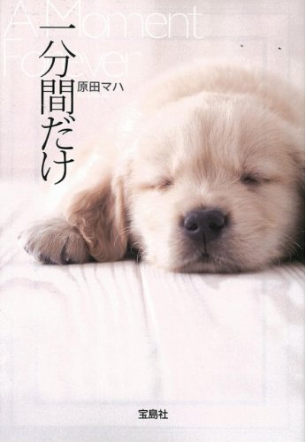 原田マハ 一分間だけ 小説