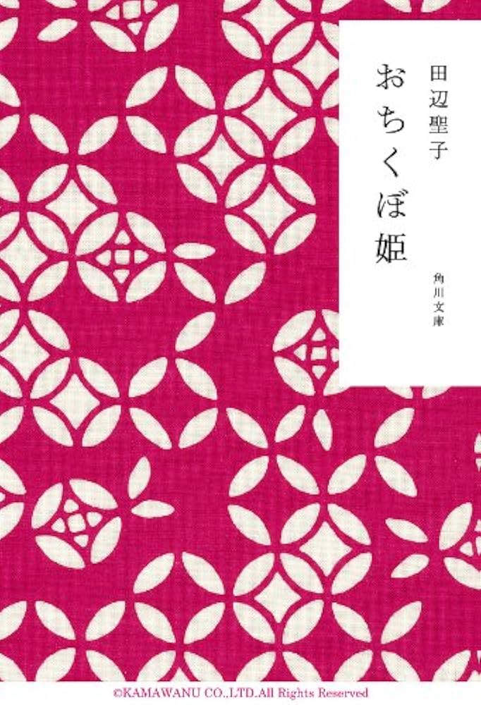 田辺聖子 おちくぼ姫 小説