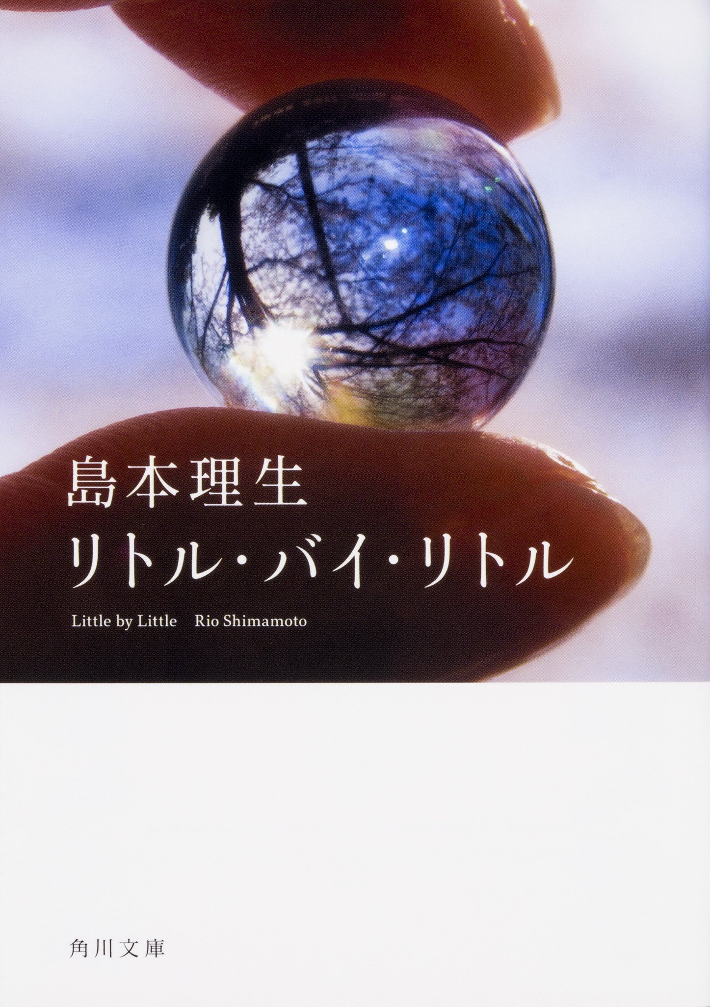 島本理生 リトル・バイ・リトル 小説