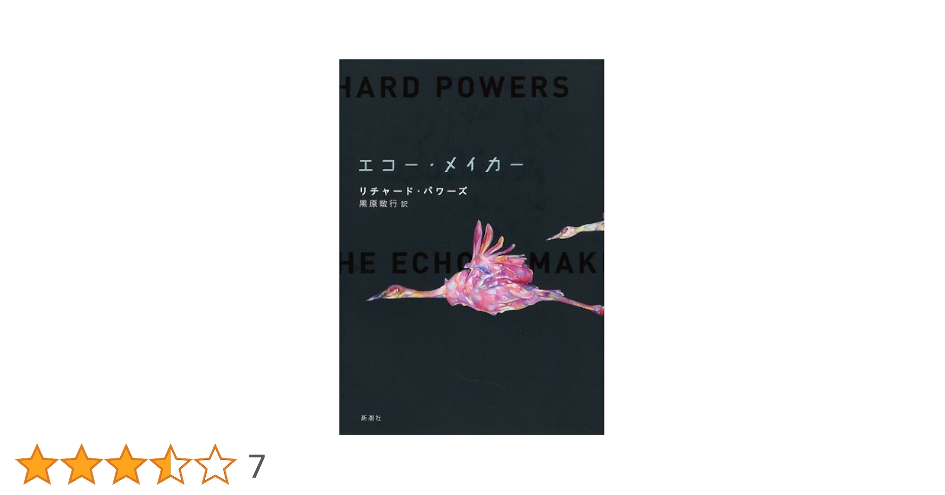 エコー・メイカー リチャード・パワーズ 小説