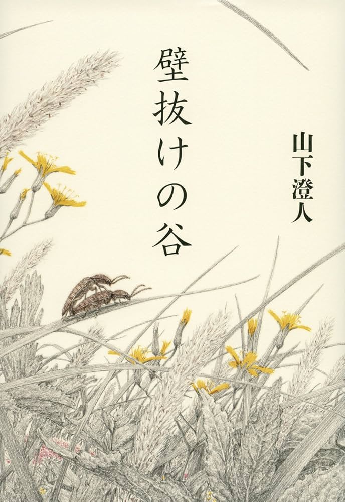 山下澄人 壁抜けの谷 小説