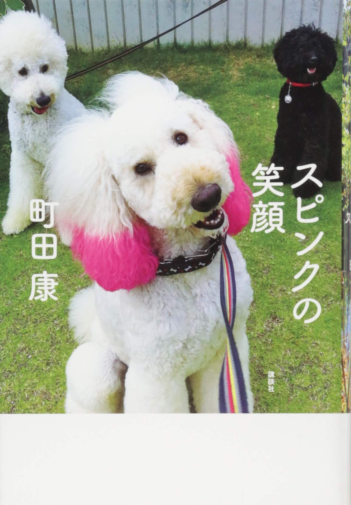 町田康 スピンクの笑顔 小説