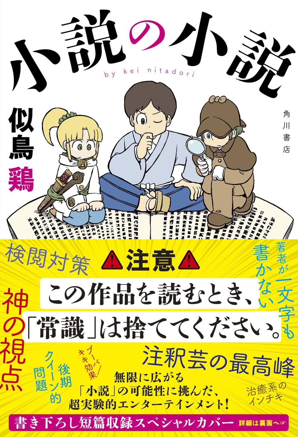 似鳥鶏 小説の小説 小説