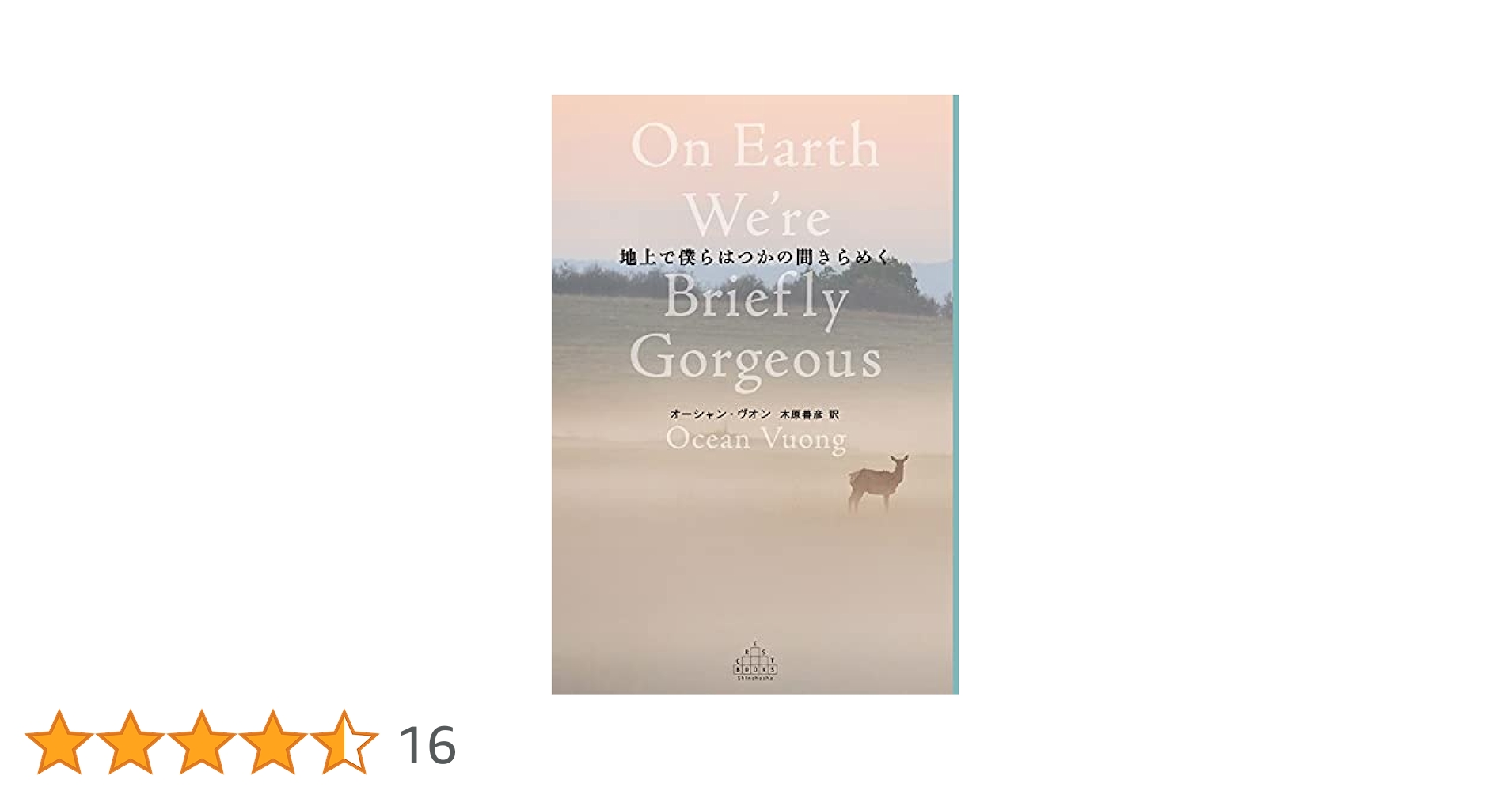 オーシャン・ヴオン 地上で僕らはつかの間きらめく 小説