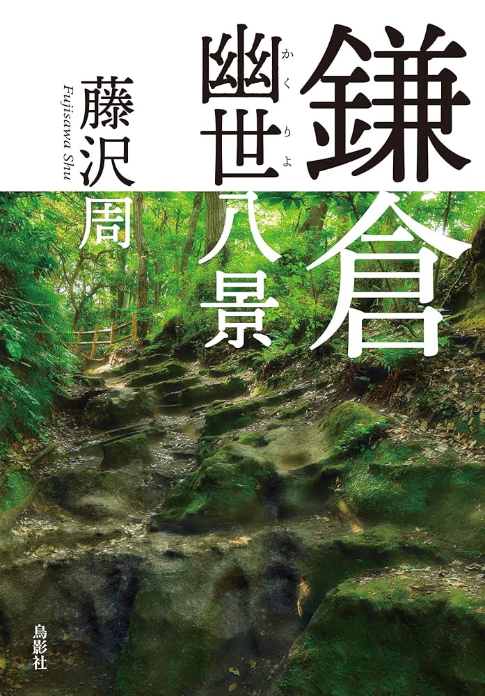 藤沢周 幻夢 小説