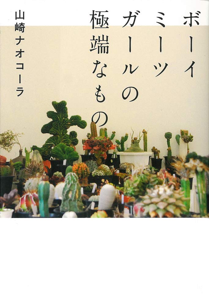 ボーイミーツガールの極端なもの 山崎ナオコーラ 小説