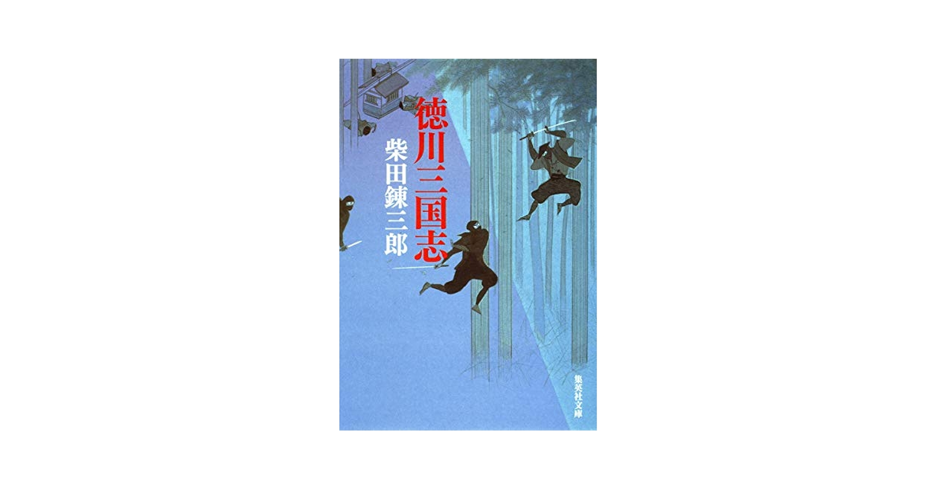柴田錬三郎 徳川三国志 小説