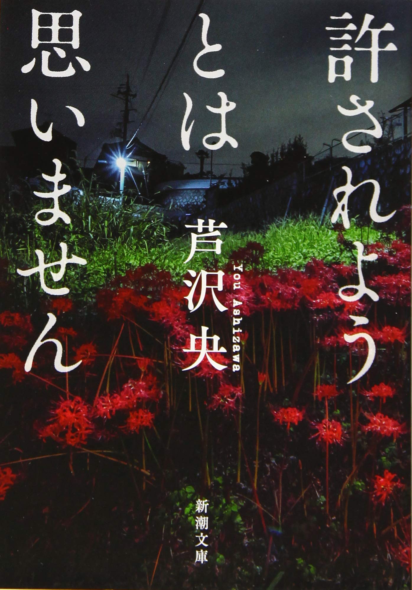 許されようとは思いません 芦沢央 小説