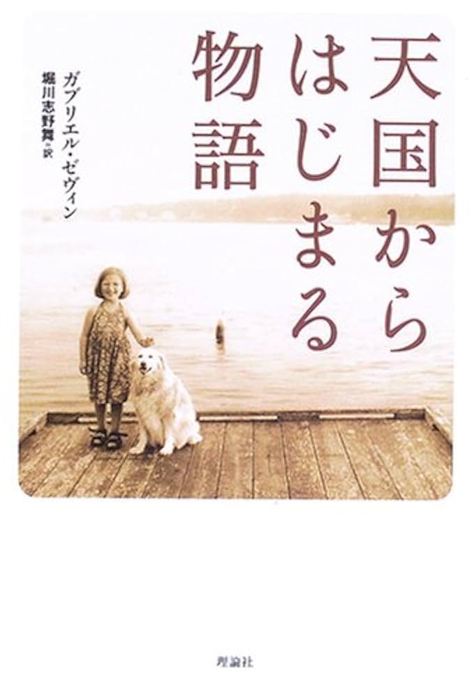 ガブリエル・ゼヴィン 天国からはじまる物語 小説