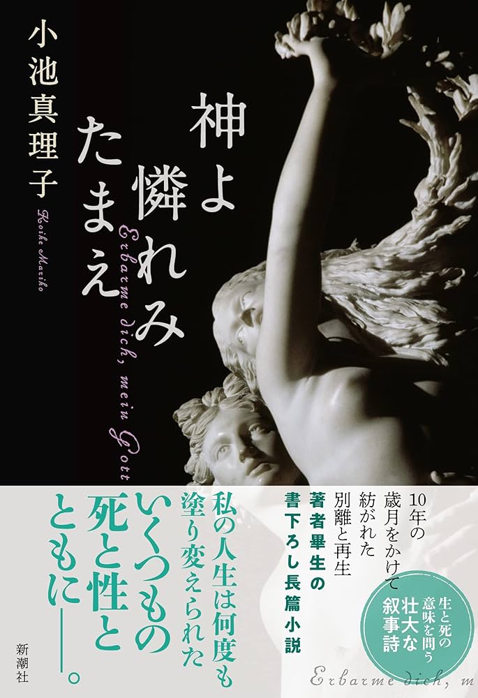 小池真理子 神よ憐れみたまえ 小説
