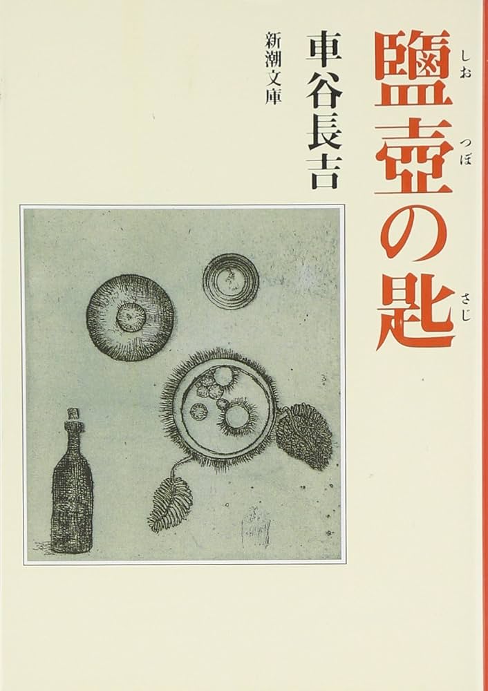 車谷長吉 鹽壺の匙 小説