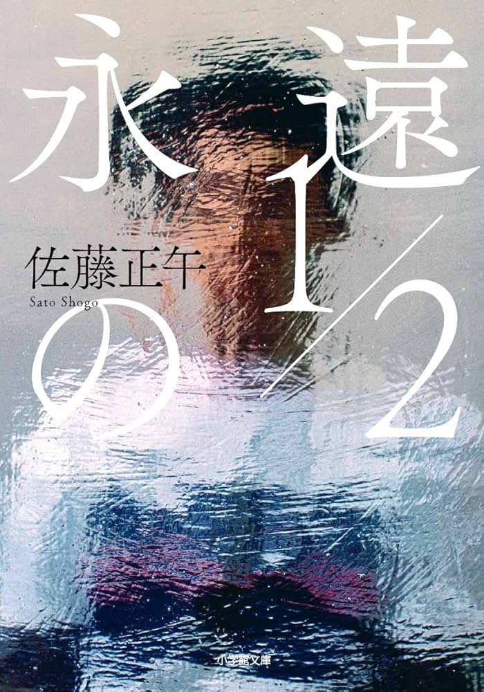 佐藤正午 永遠の1/2 小説