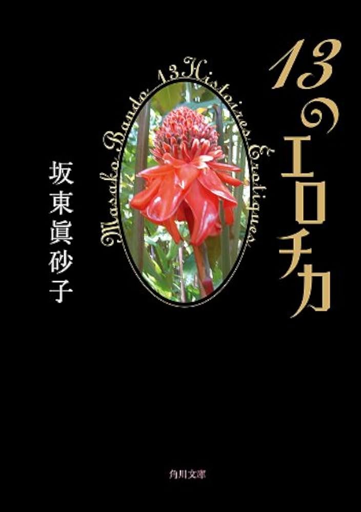 坂東眞砂子 13のエロチカ 小説
