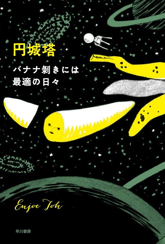 円城塔 バナナ剥きには最適の日々 小説
