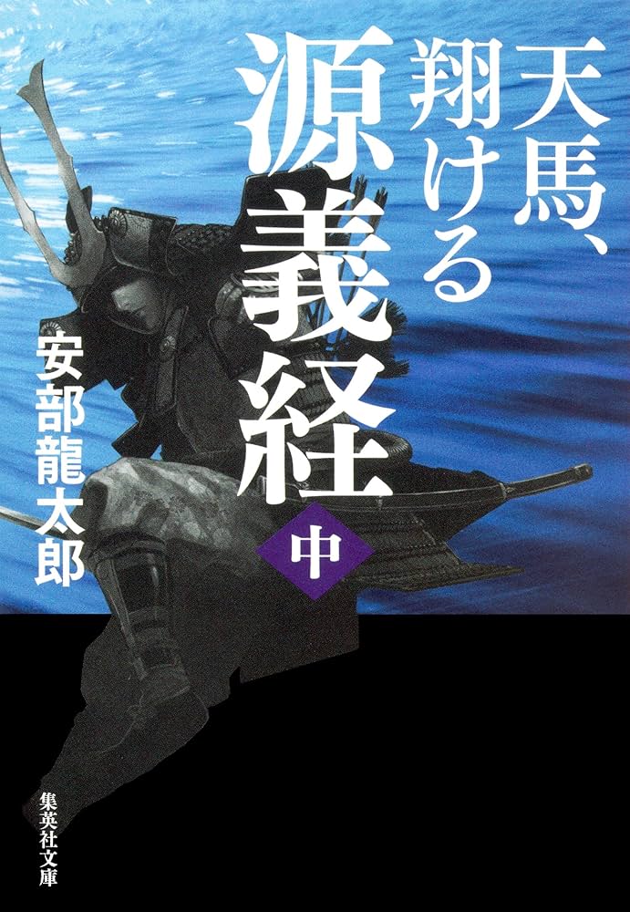 安部龍太郎 天馬、翔ける 小説