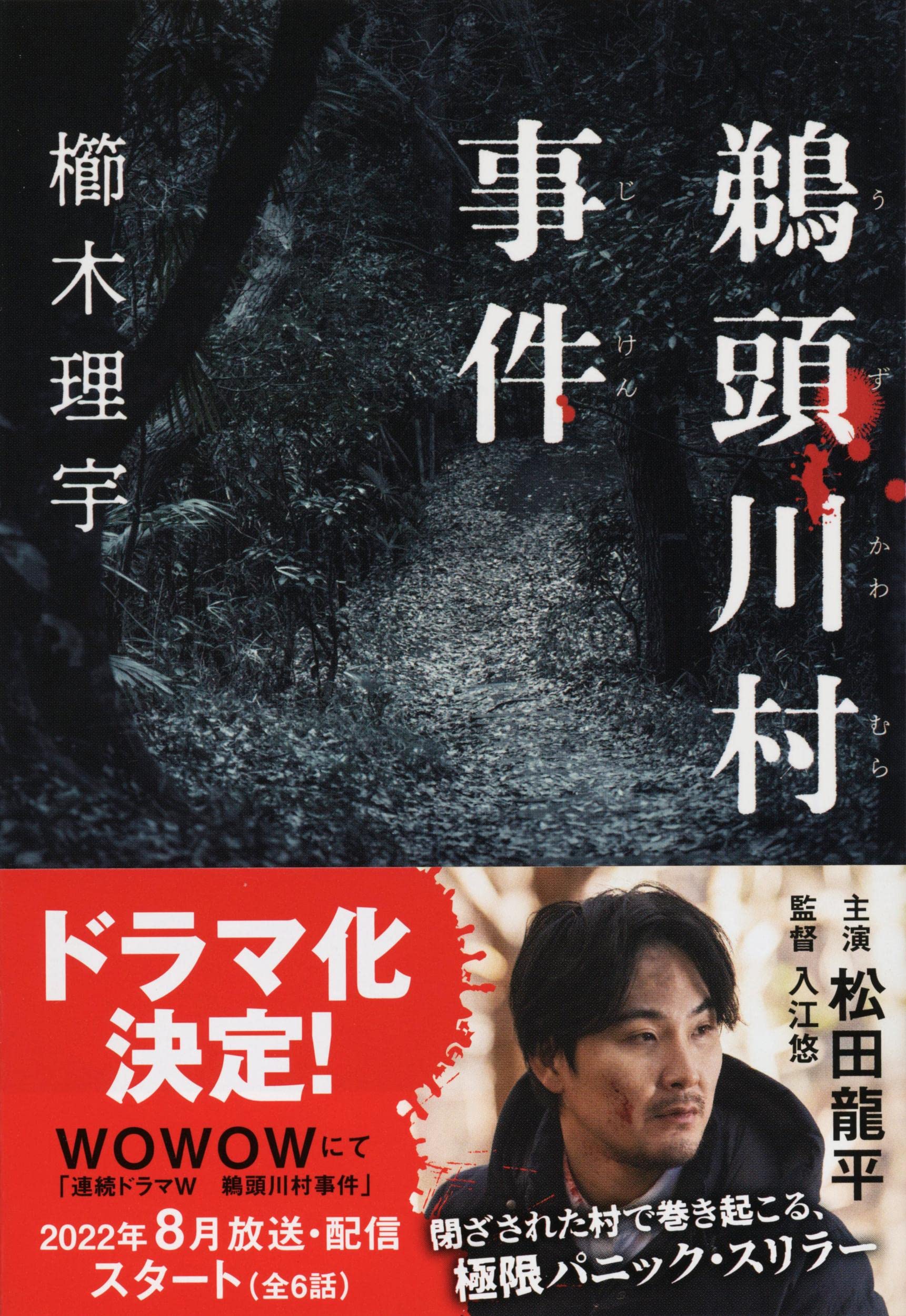 櫛木理宇 鵜頭川村事件 小説