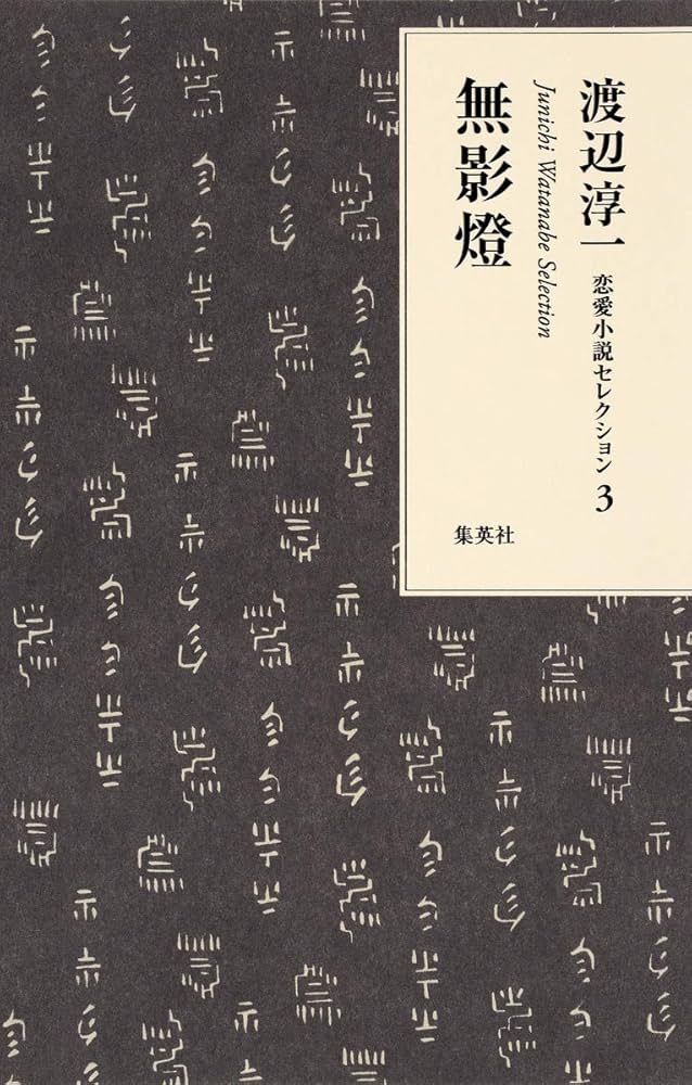 渡辺淳一 無影燈 小説