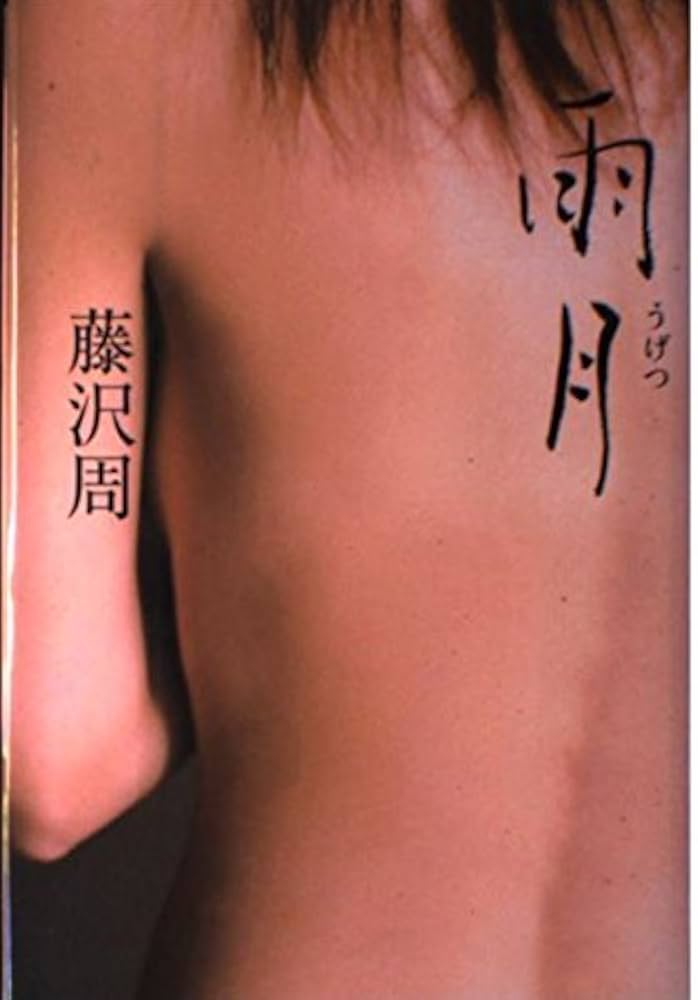 藤沢周 雨月 小説