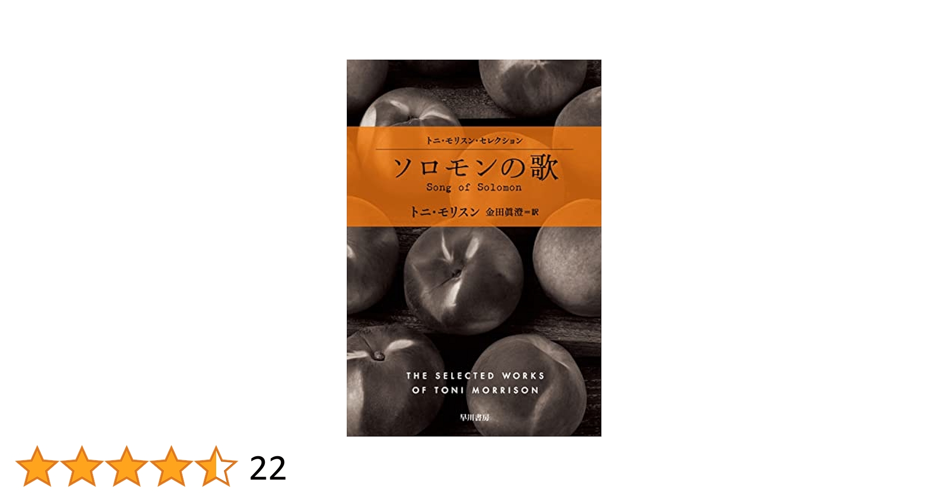 トニ・モリスン ソロモンの歌 全米批評家協会賞 小説