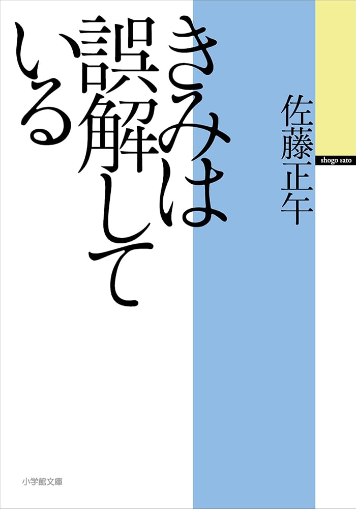 佐藤正午 きみは誤解している 小説
