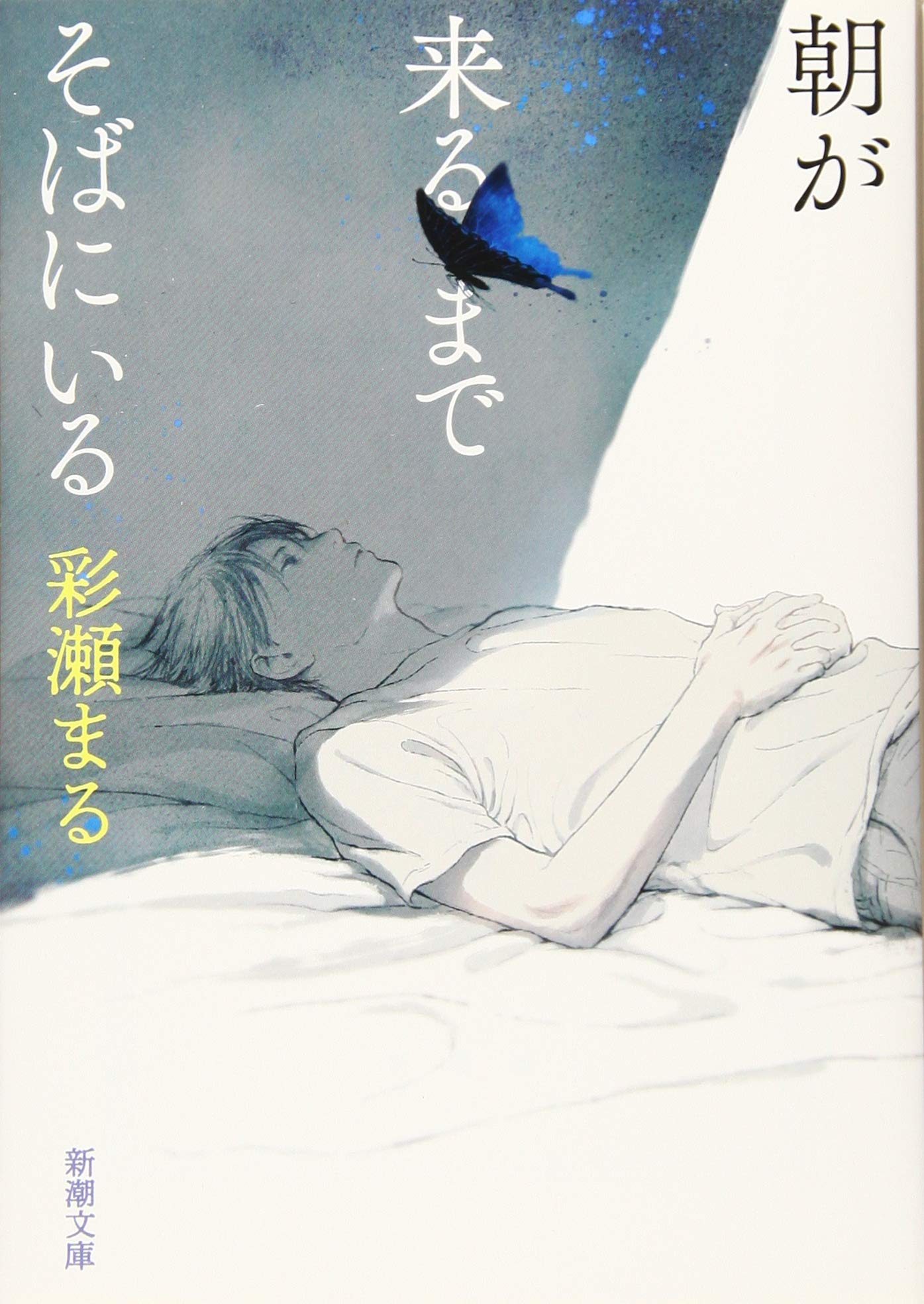 彩瀬まる 朝が来るまでそばにいる 小説