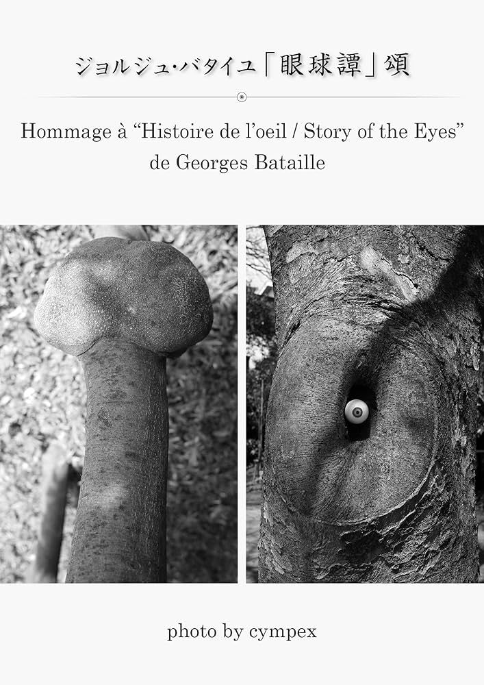 眼球譚 ジョルジュ・バタイユ 小説