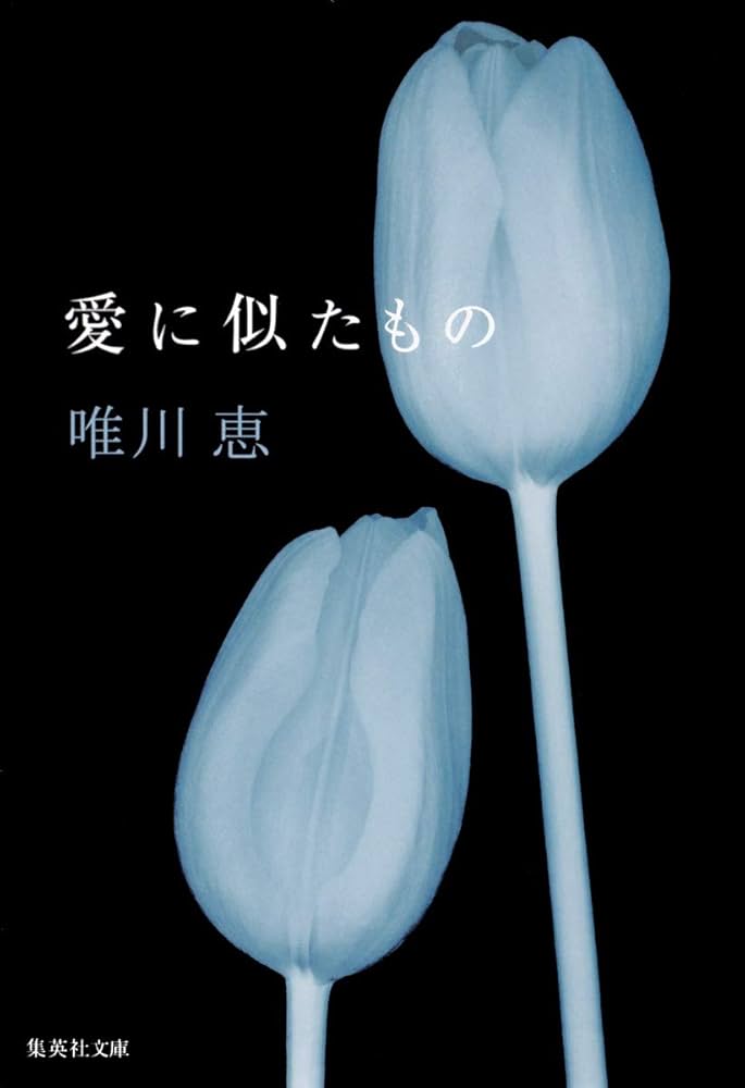 唯川恵 愛に似たもの 小説