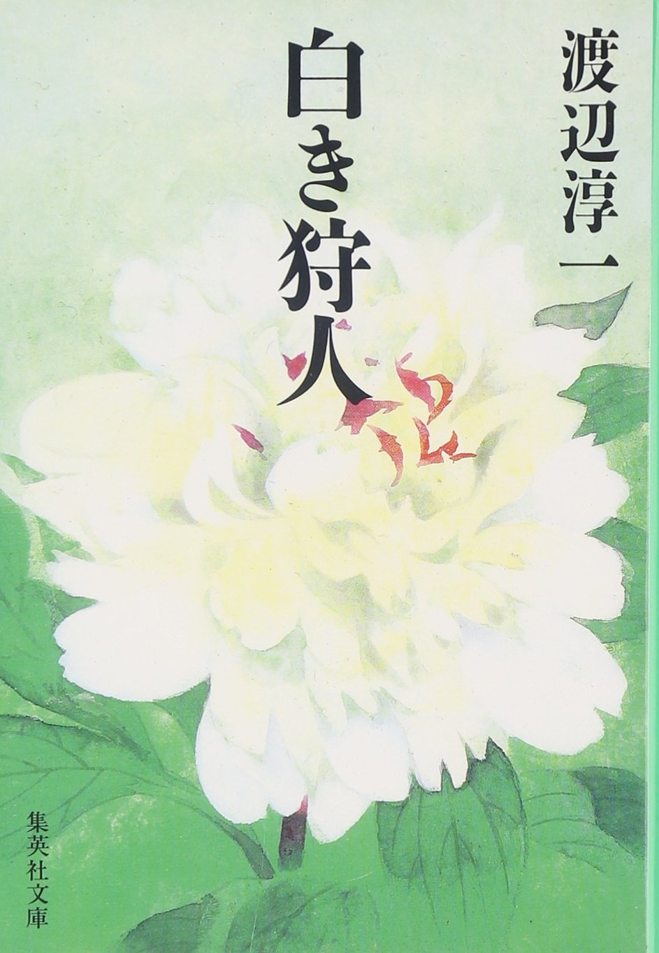 渡辺淳一 白き狩人 小説