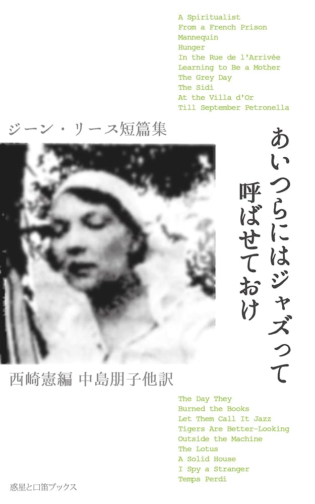 ジーン・リース 闇の中の旅 小説