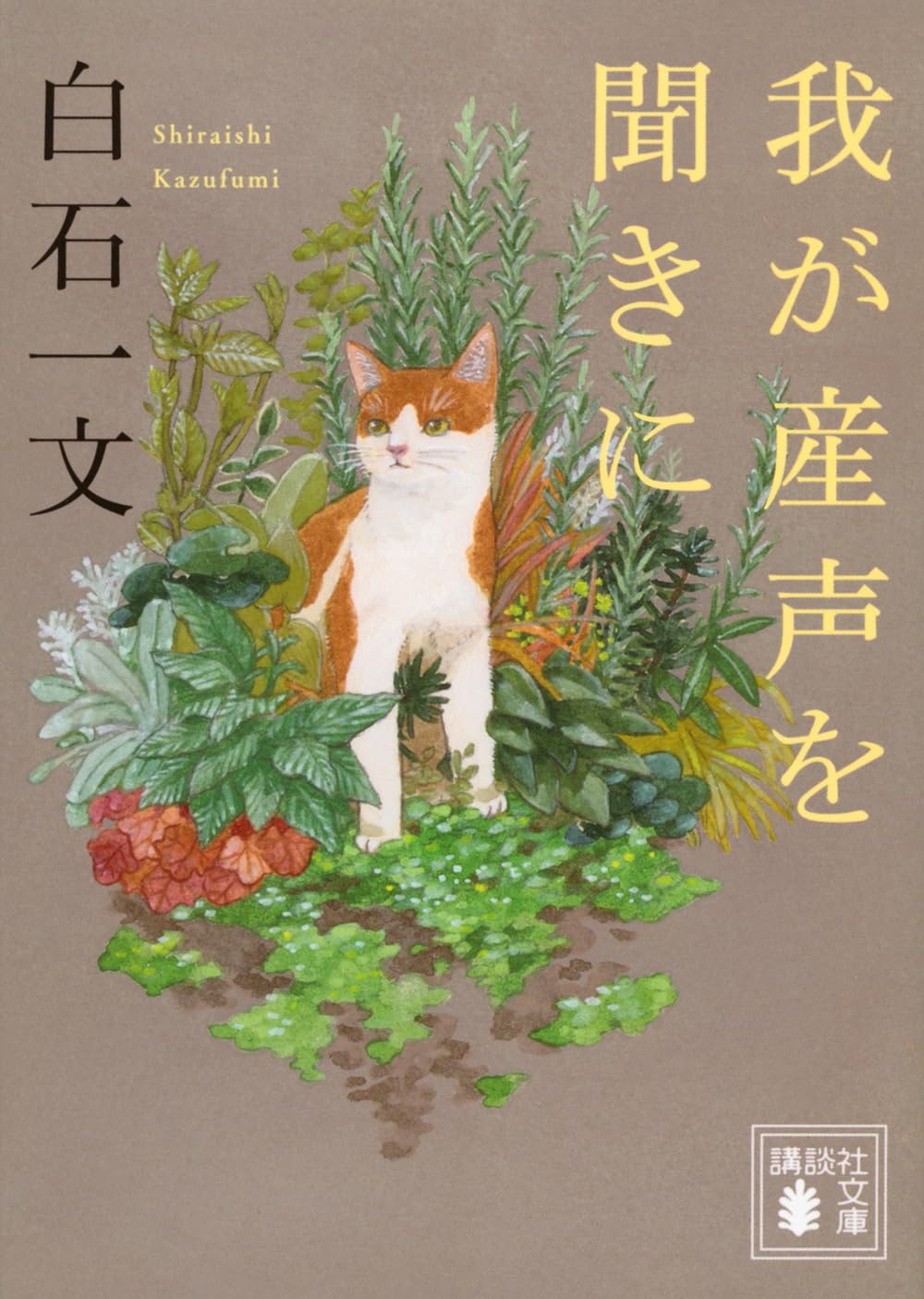 白石一文 我が産声を聞きに 小説