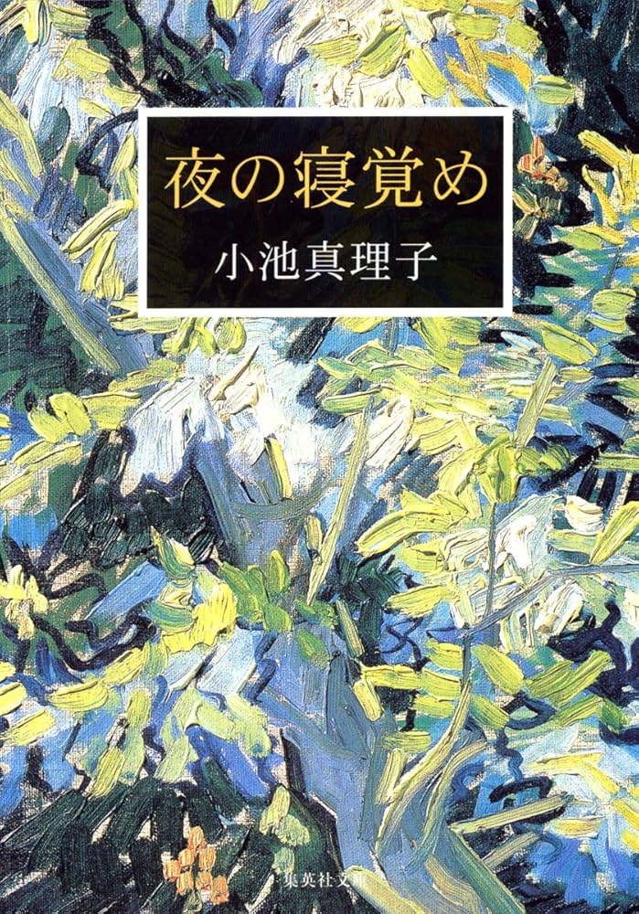 小池真理子 夜の寝覚め 小説