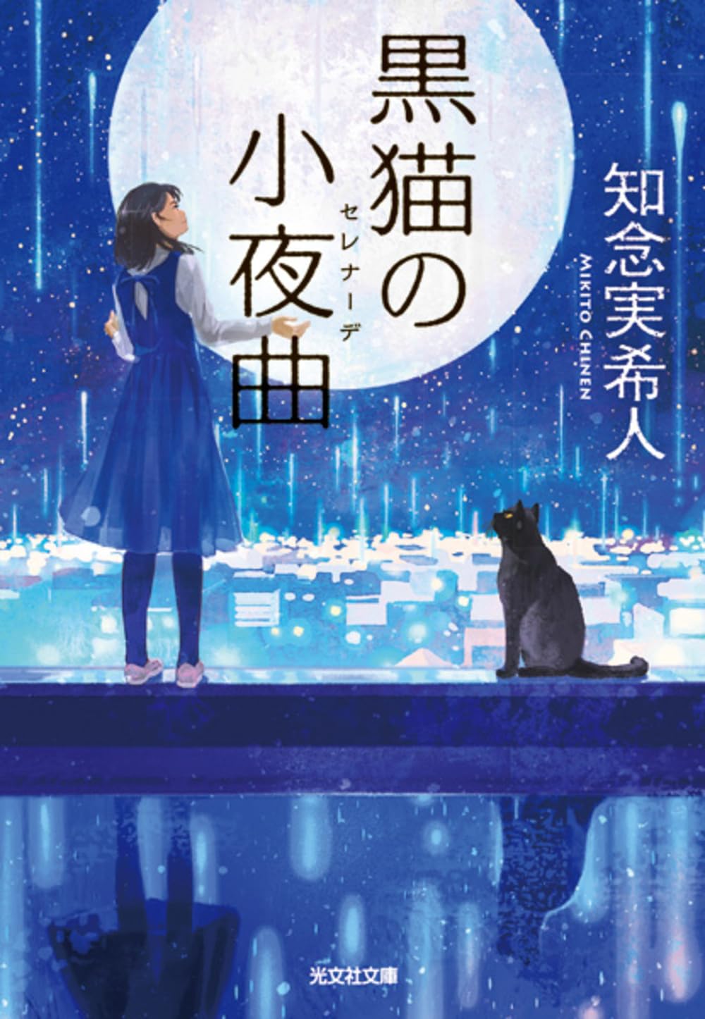 黒猫の小夜曲 知念実希人 小説