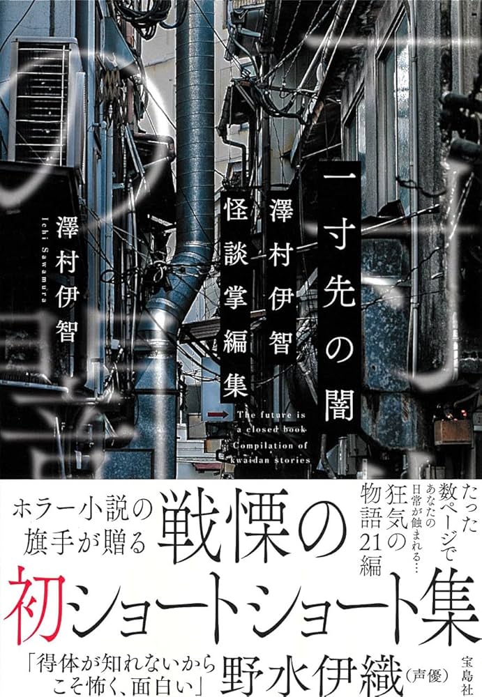 澤村伊智 一寸先の闇 小説
