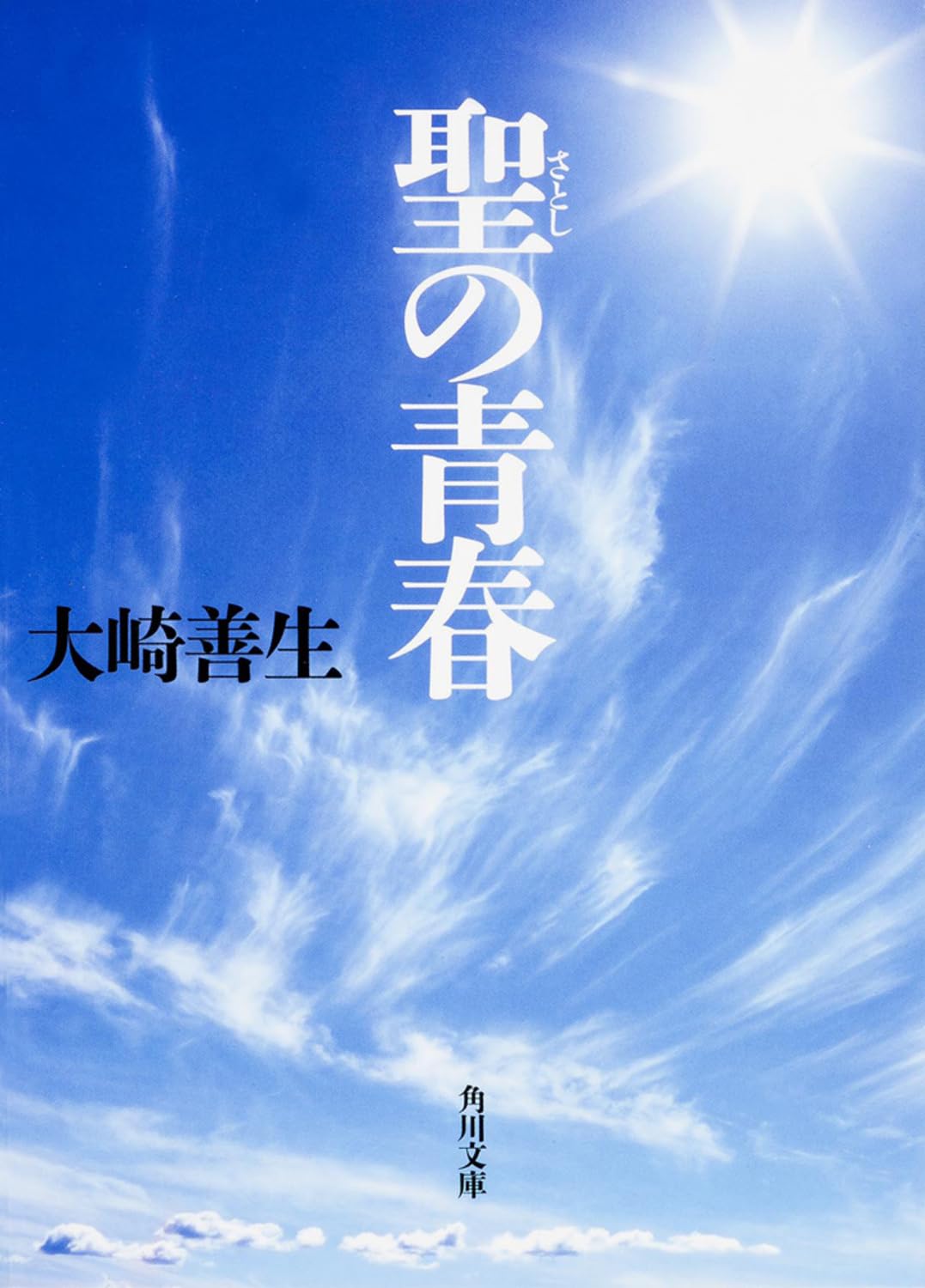 聖の青春 大崎善生 小説