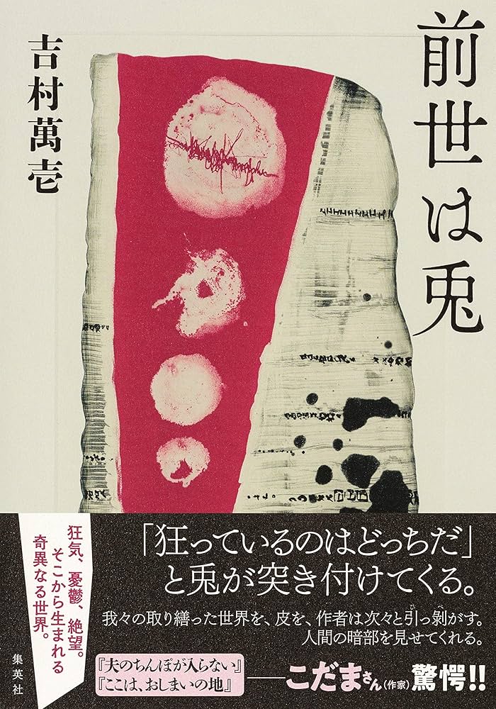 吉村萬壱 前世は兎 小説