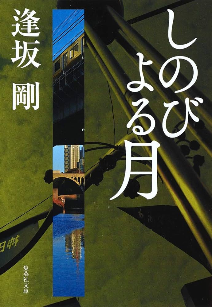 逢坂剛 しのびよる月 小説