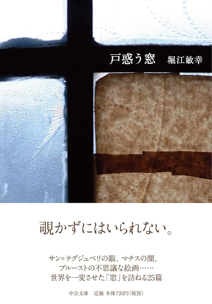 堀江敏幸 戸惑う窓 小説