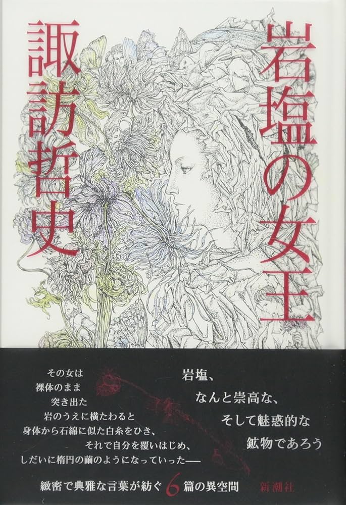 諏訪哲史 岩塩の女王 小説